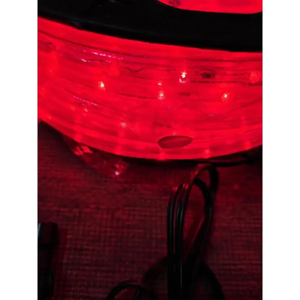 DELight LED Rope RED Light 150ft Spool W/ Plugs & Silicone Indoor/Outdoor